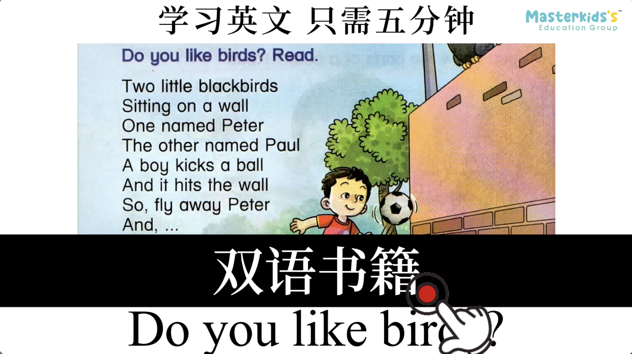 Do you like birds